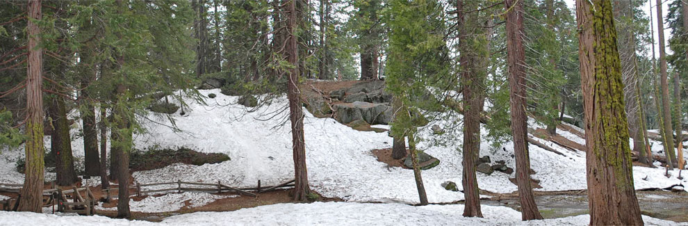 Columbine snow play areas, Kings Canyon National Park, California