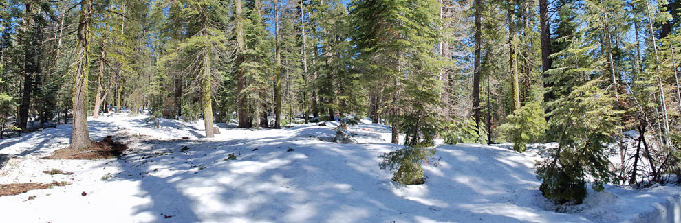 Crane Flat snow play area, Yosemite National Park, California