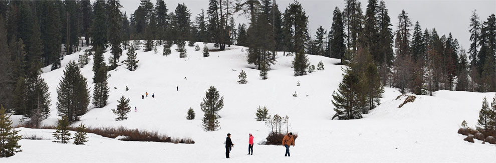 Wolverton snow play area, Sequoia National Park, California